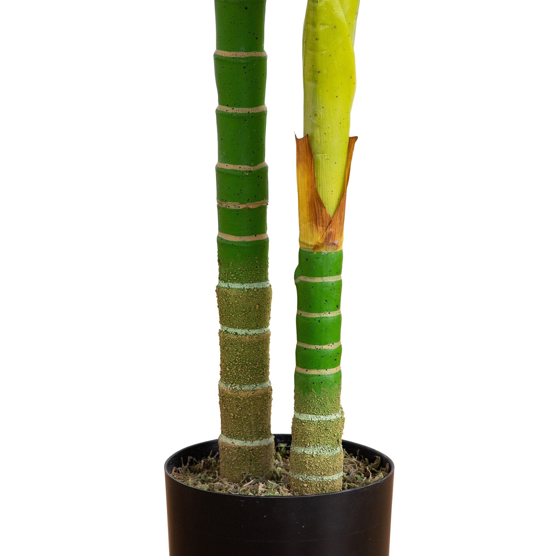 6’ Artificial Double Stalk Golden Cane Palm Tree with two-tone green and yellow stems in a brown pot on Tampa Home & Garden Store