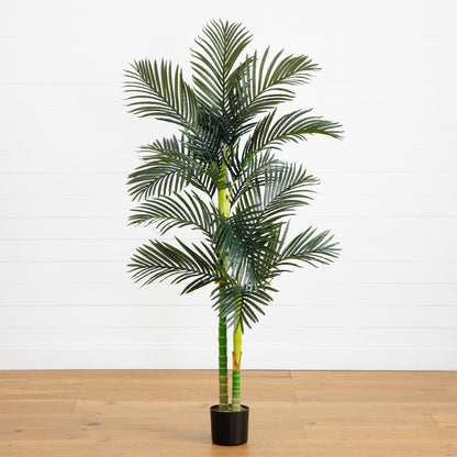 6ft artificial double stalk Golden Cane Palm Tree in black pot on white backdrop on Tampa Home & Garden Store