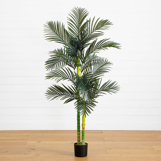 6ft artificial double stalk Golden Cane Palm Tree in black pot on white backdrop on Tampa Home & Garden Store