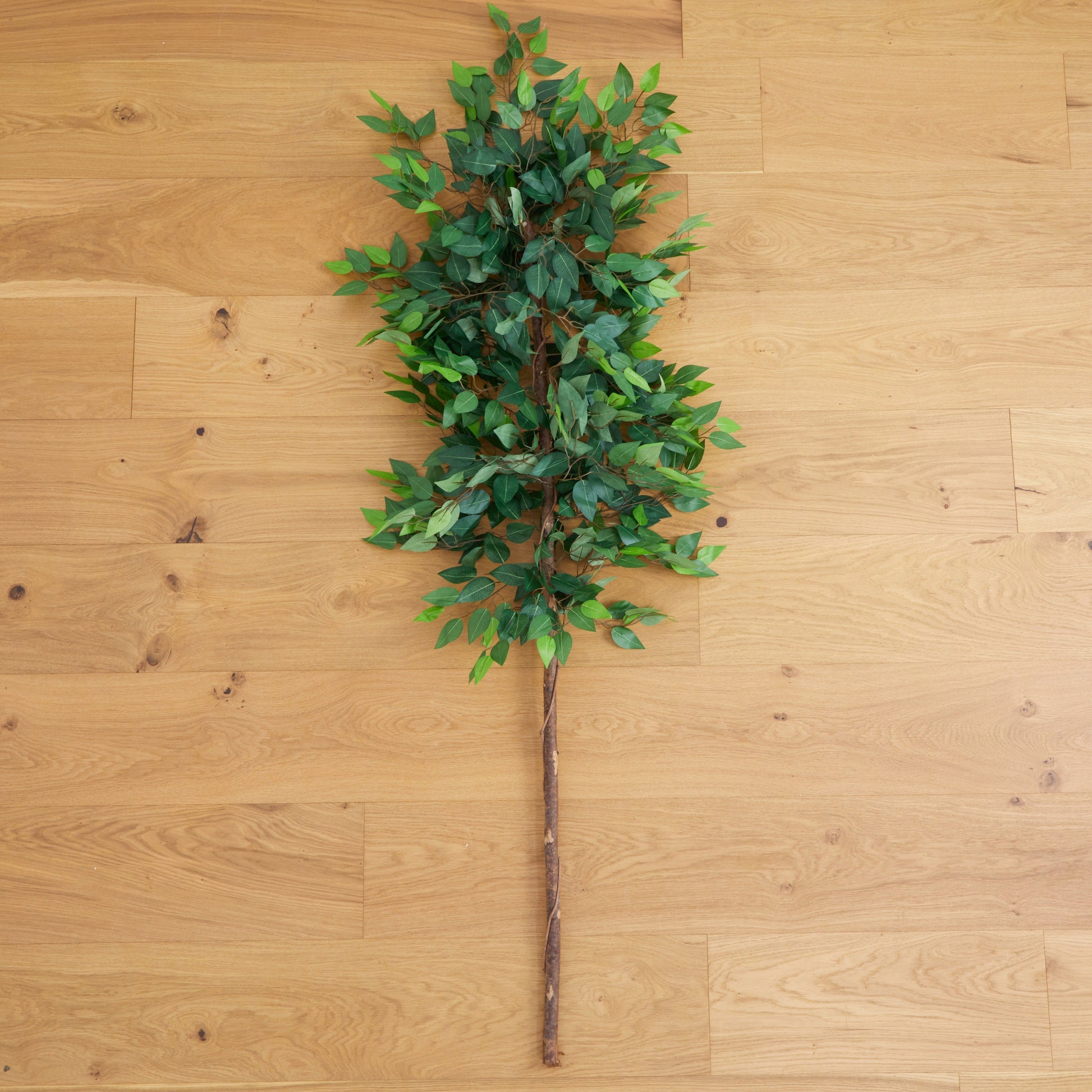 6’ Artificial Ficus Tree No Pot by Nearly Natural with dense green leaves on a wood floor on Tampa Home & Garden Store