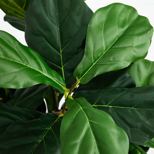 6’ Artificial Fiddle Leaf Fig Tree by Nearly Natural with green faux leaves on Tampa Home & Garden Store