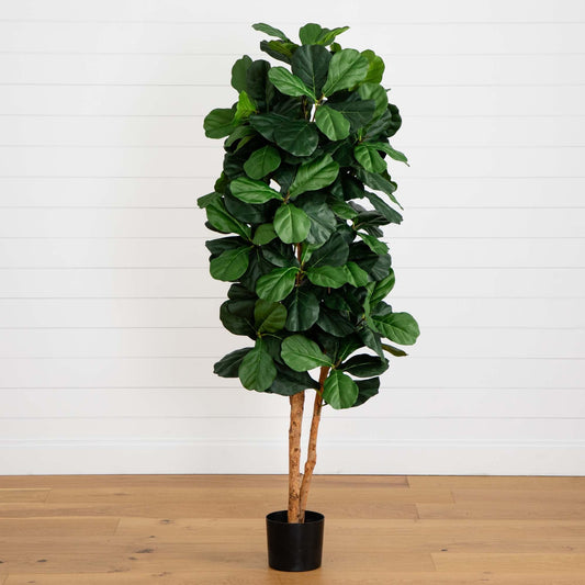 6 ft artificial fiddle leaf fig tree with glossy green leaves and two trunks in a black pot on Tampa Home & Garden Store