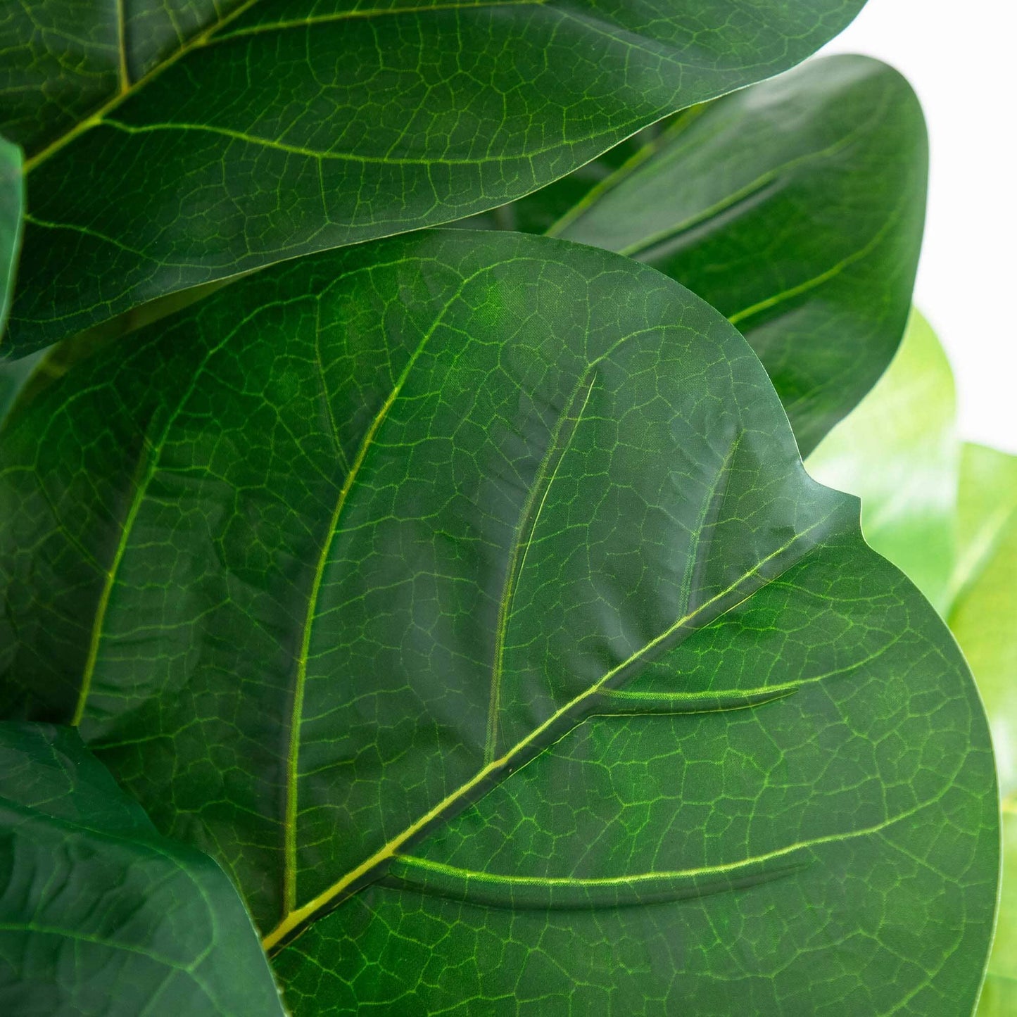 Ficus Lyrata artificial gigante de 1,80 m con hojas de tacto real en maceta decorativa