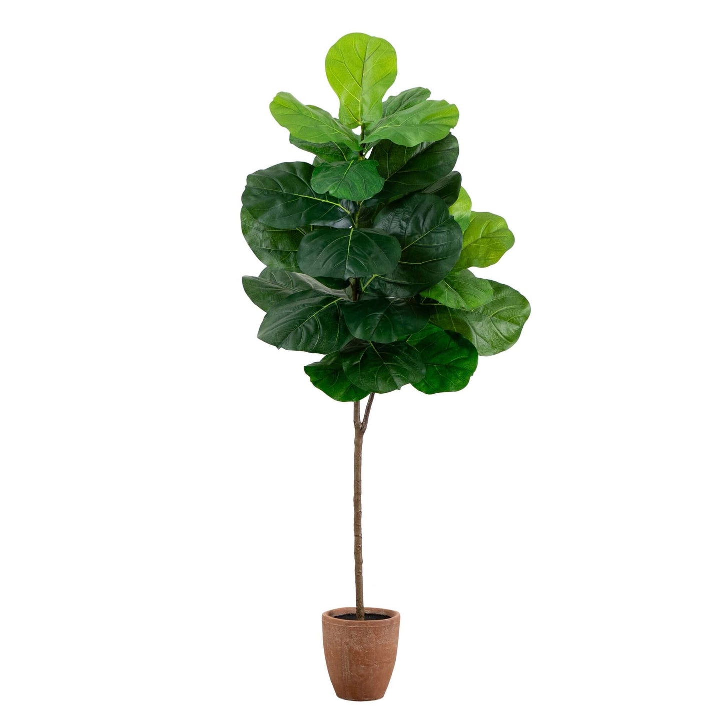 Ficus Lyrata artificial gigante de 1,80 m con hojas de tacto real en maceta decorativa