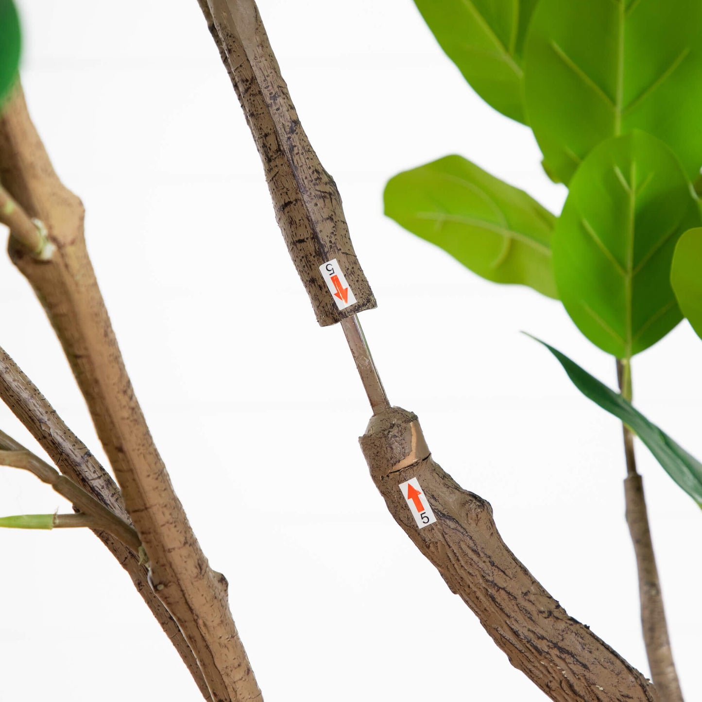 Artificial Audrey Ficus And A White Planter