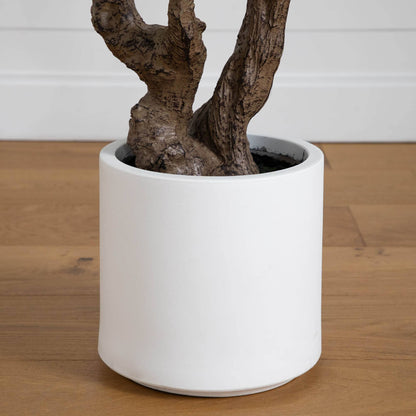 Artificial Audrey Ficus And A White Planter