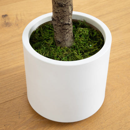 Artificial Jacaranda Tree with a White Planter