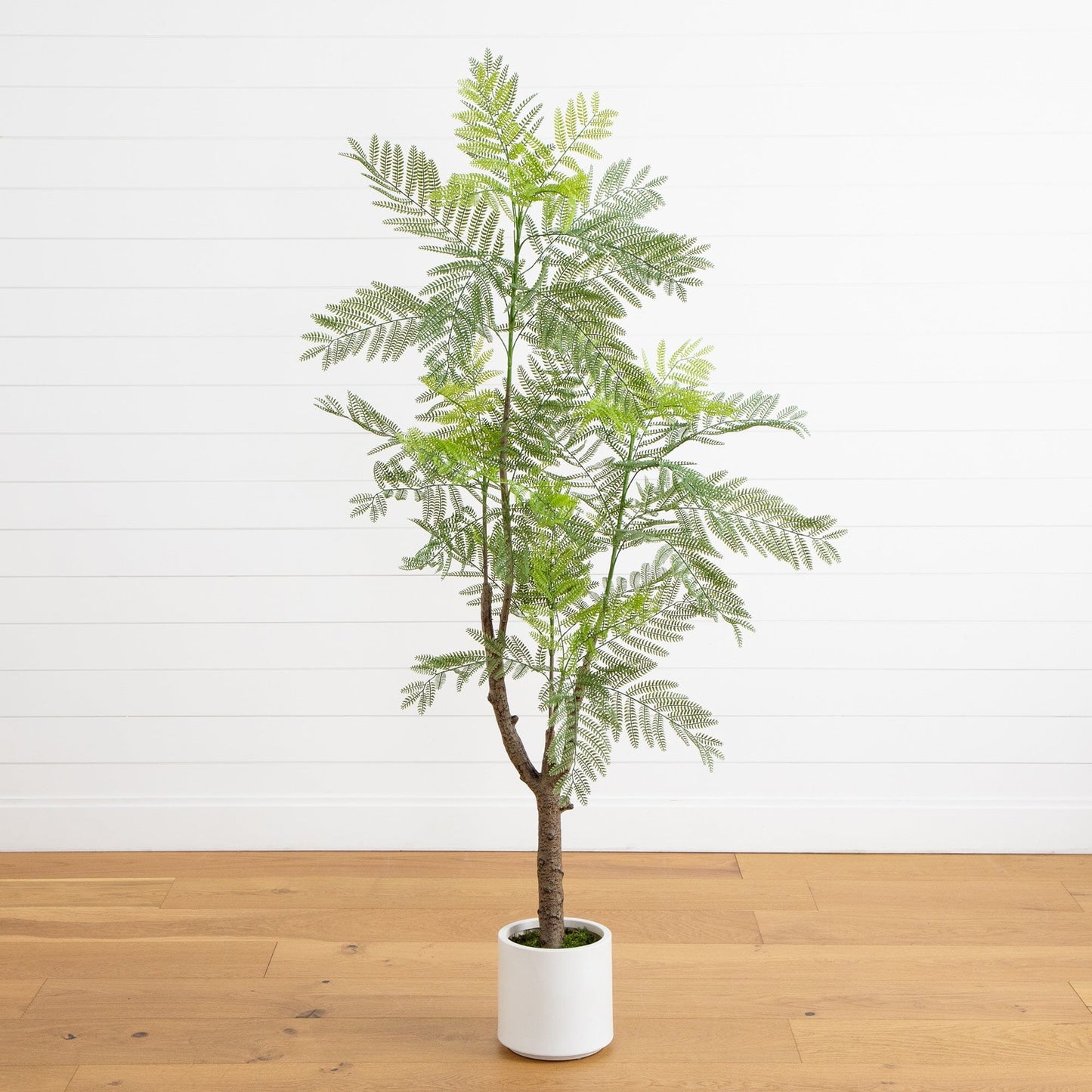 Artificial Jacaranda Tree with a White Planter