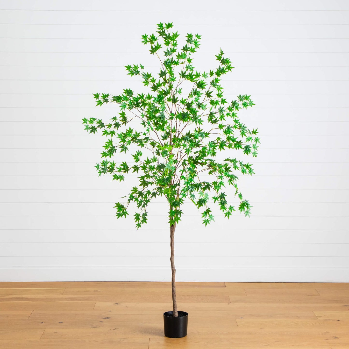6' Artificial Maple Tree by Nearly Natural with vivid green leaves in a black planter on Tampa Home & Garden Store
