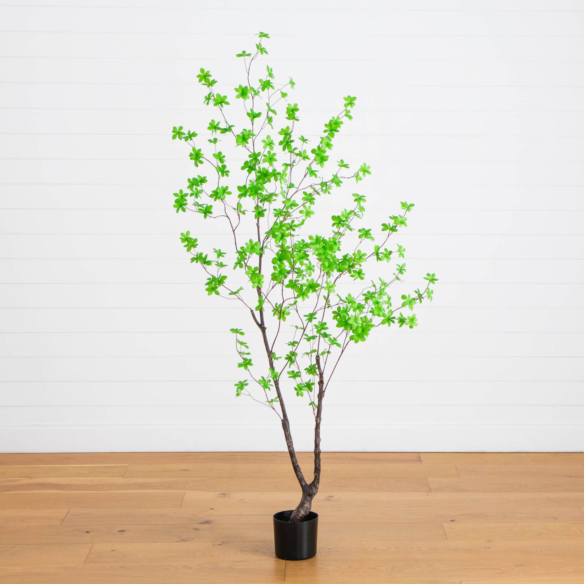 6-ft Artificial Minimalist Enkianthus Tree in black pot with green leaves Nearly Natural on Tampa Home & Garden Store