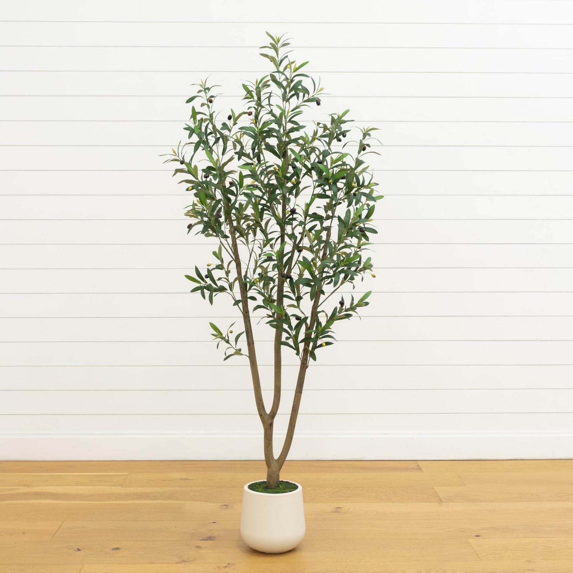6’ artificial olive tree by Nearly Natural in a white decorative planter with dark olives and green leaves on Tampa Home & Garden Store