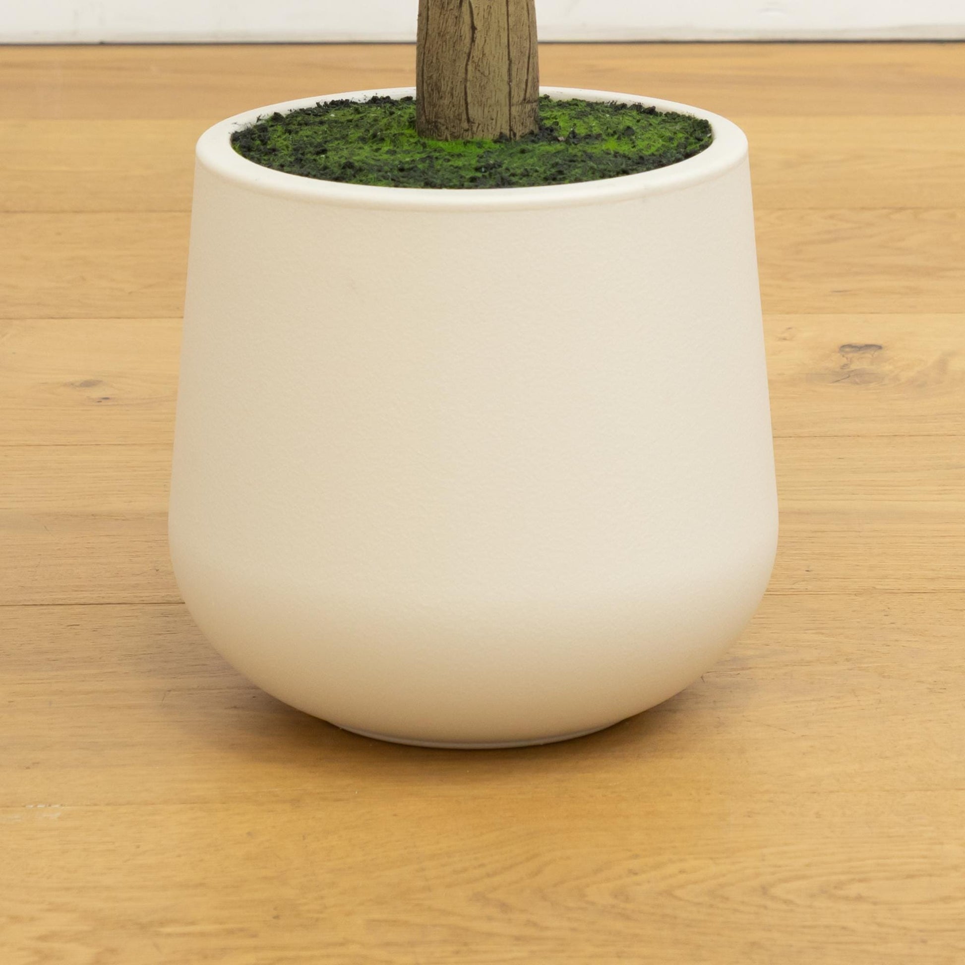 6 ft artificial olive tree in white decorative planter by Nearly Natural with moss top on Tampa Home & Garden Store