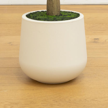 6 ft artificial olive tree in white decorative planter by Nearly Natural with moss top on Tampa Home & Garden Store