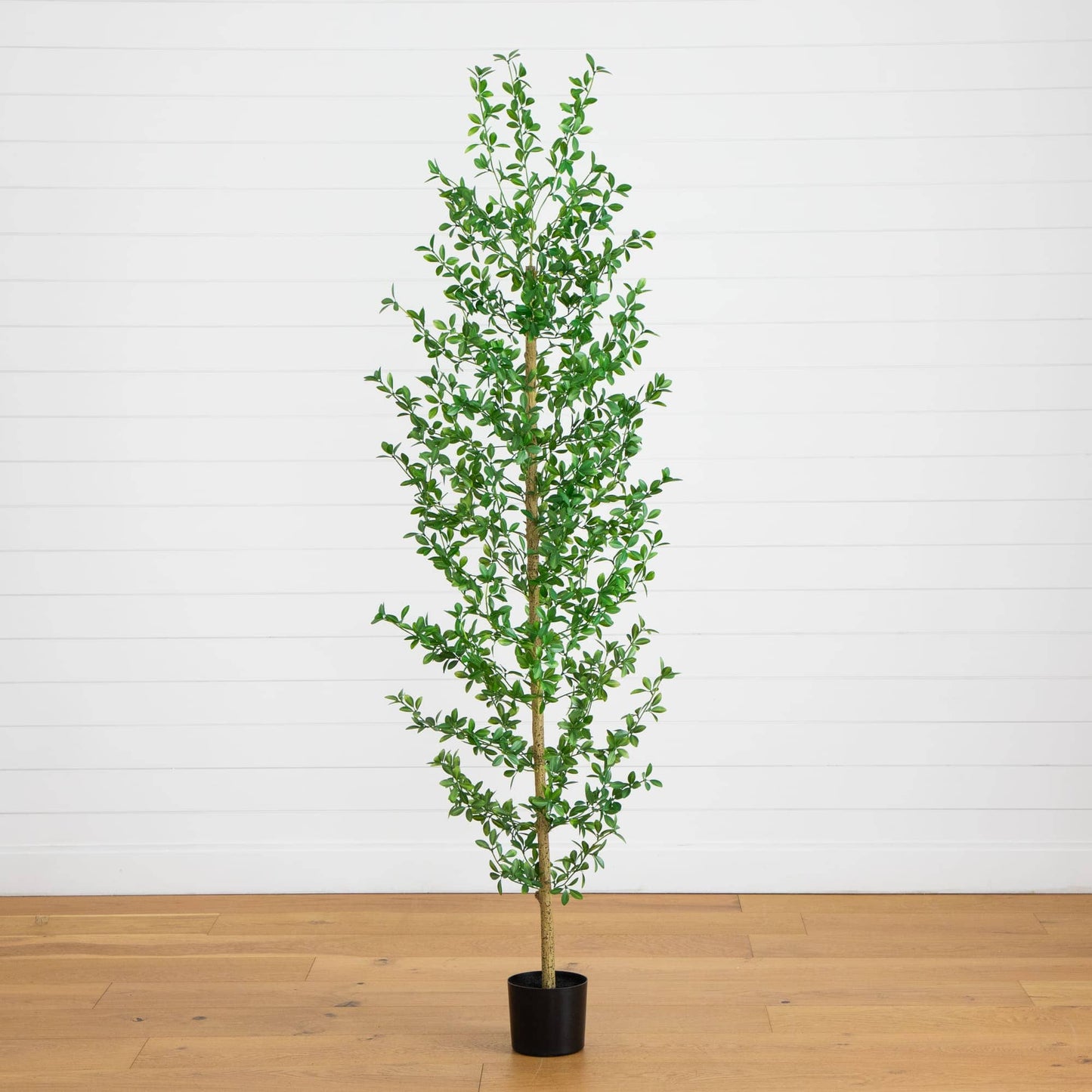 6' artificial Shady Lady Black Olive Tree in a black planter with green leaves Nearly Natural on Tampa Home & Garden Store