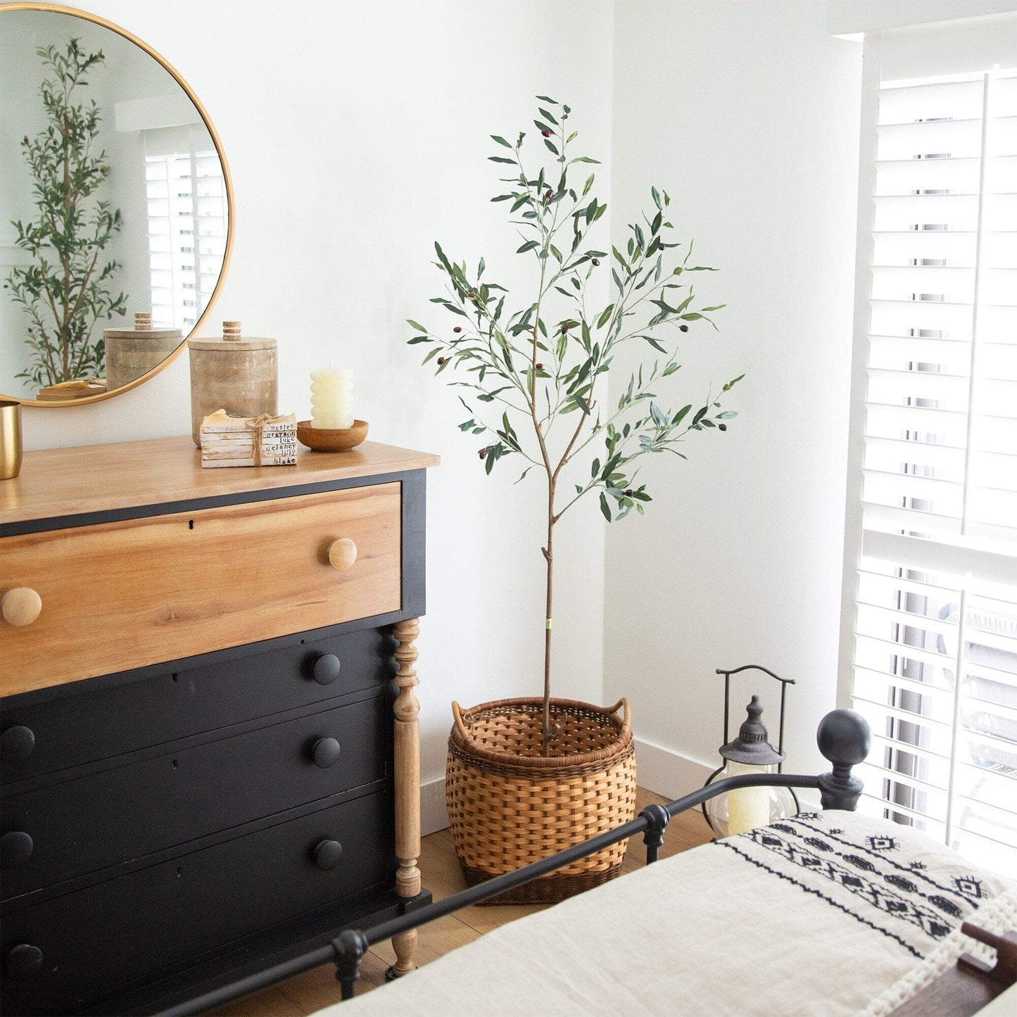 Minimalist Artificial Olive Tree and Fruit