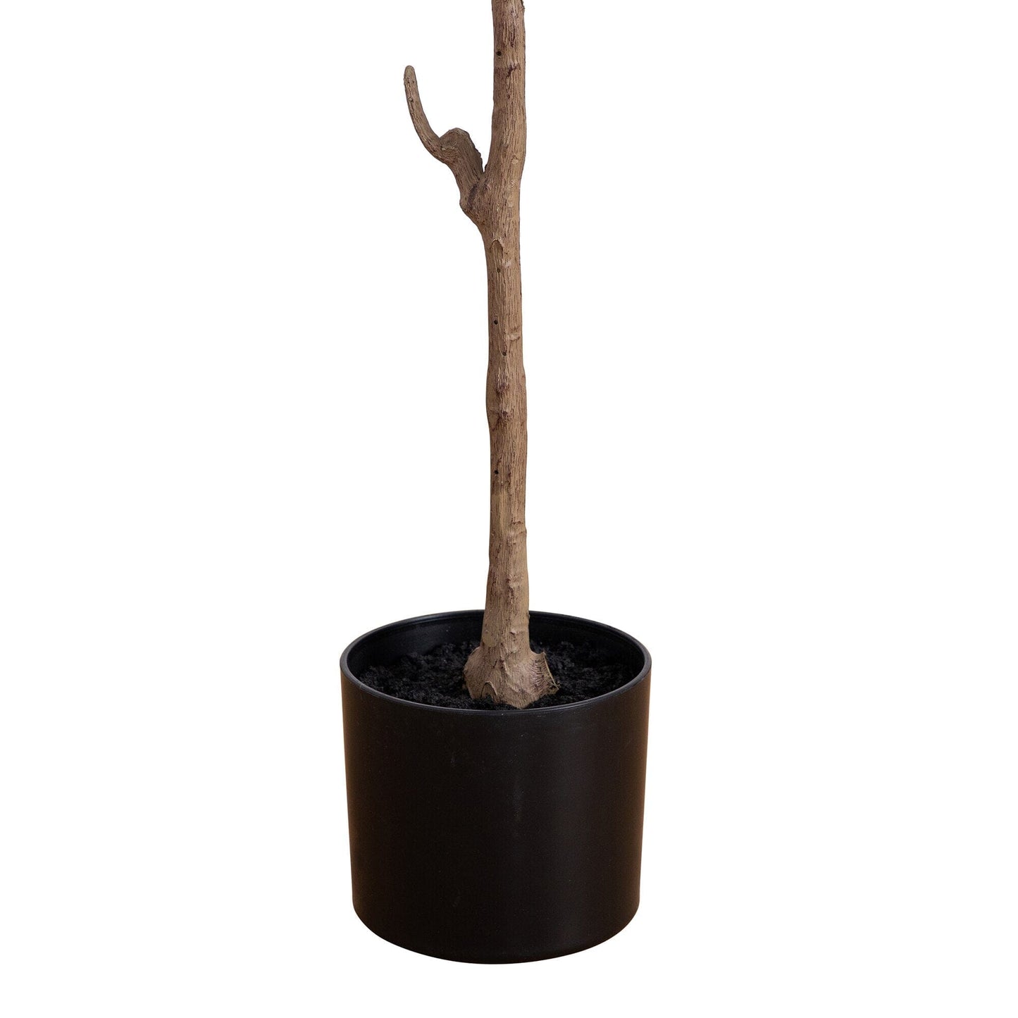 Minimalist Artificial Olive Tree and Fruit