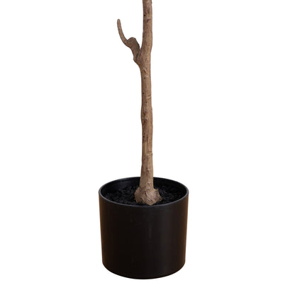Minimalist Artificial Olive Tree and Fruit