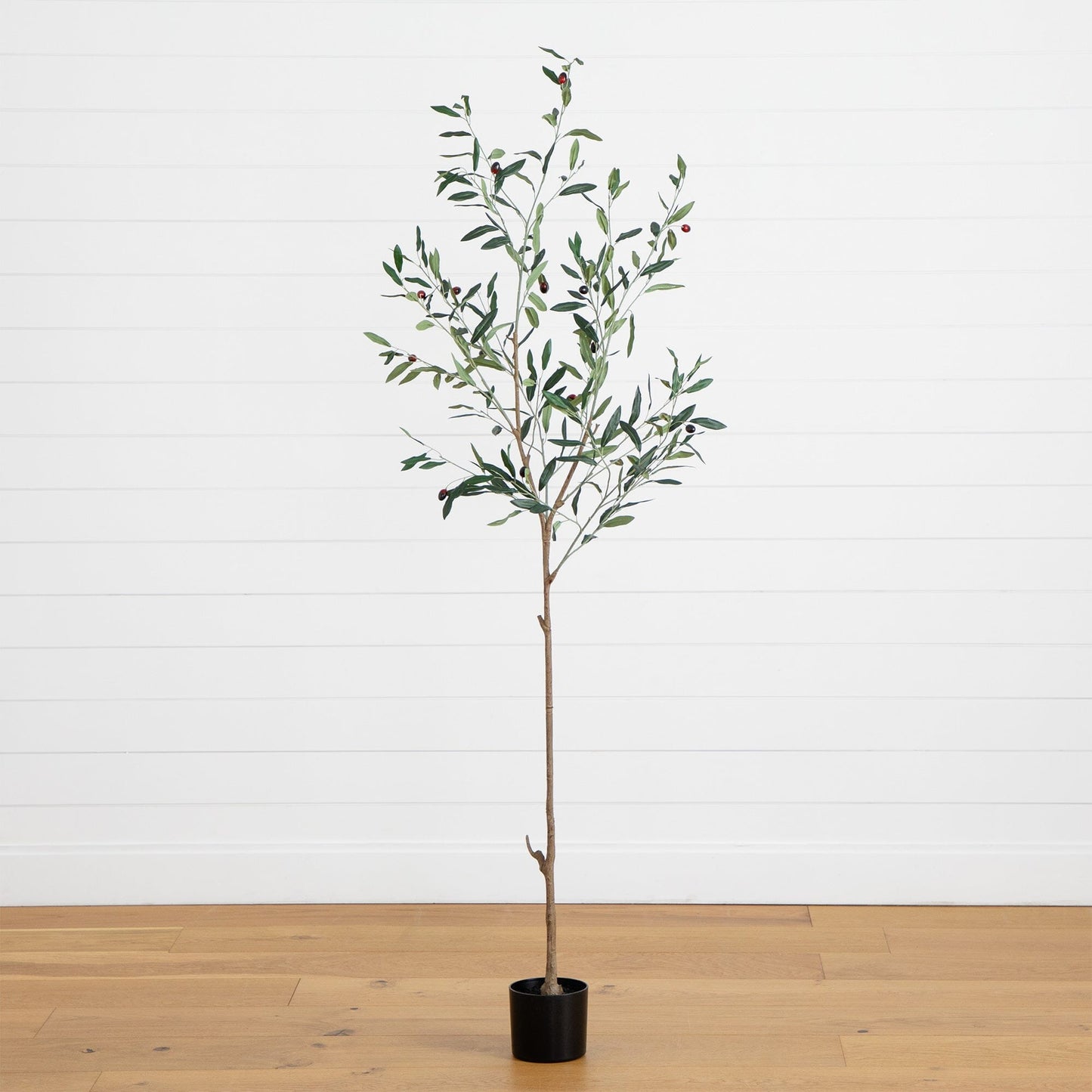 Minimalist Artificial Olive Tree and Fruit