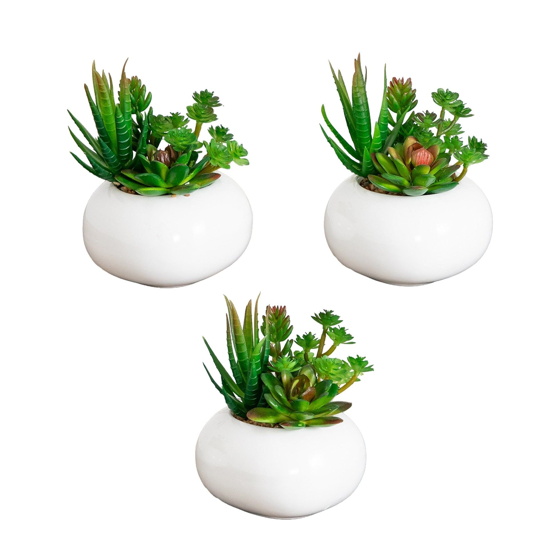 6in artificial succulent garden in a ceramic white planter, set of 3 by Nearly Natural on Tampa Home & Garden Store