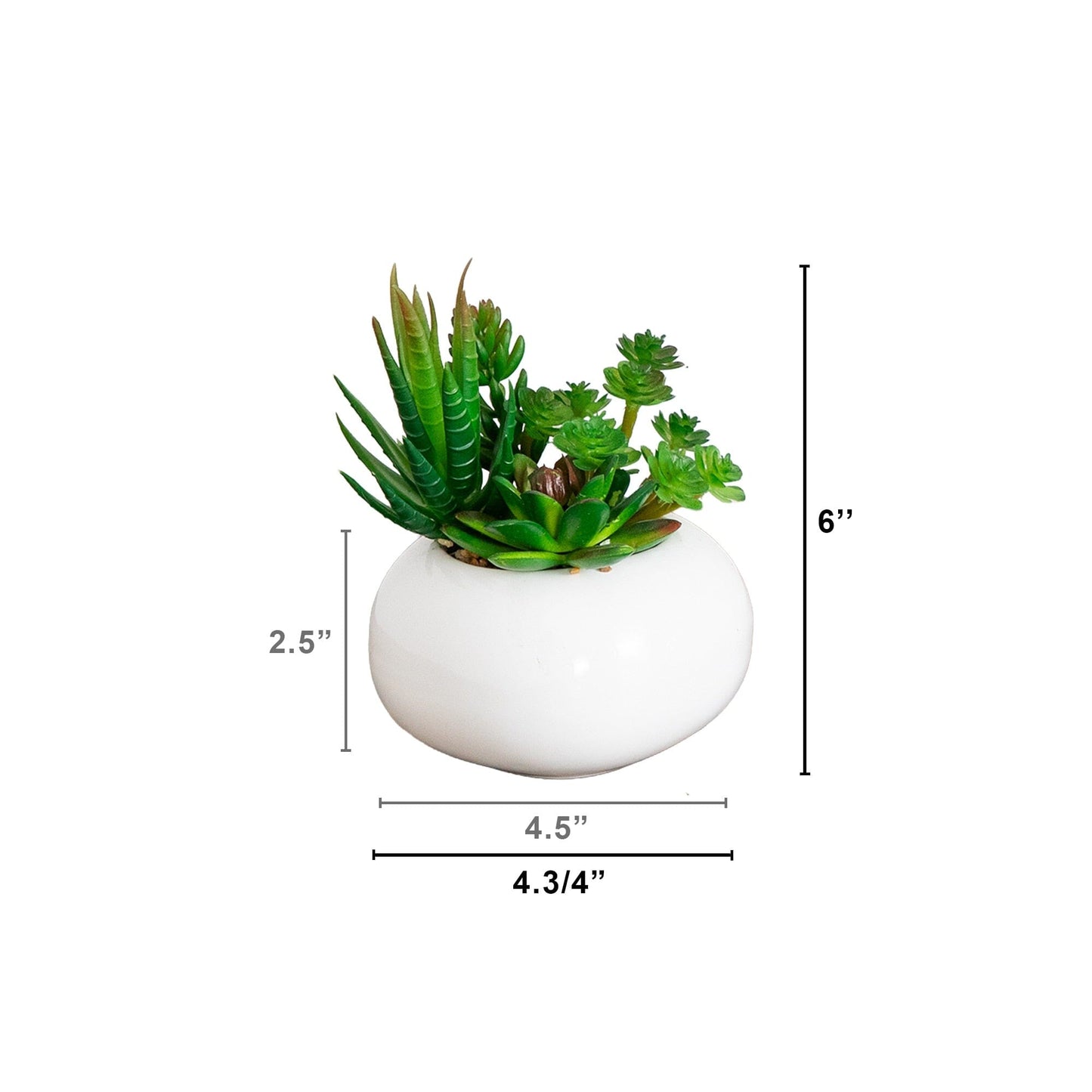 6-inch artificial succulent garden in a white ceramic planter set of 3 on Tampa Home & Garden Store