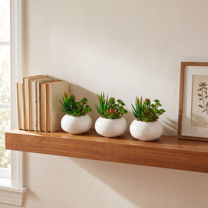 Set of 3 artificial succulent gardens in white ceramic planters on a wooden shelf on Tampa Home & Garden Store