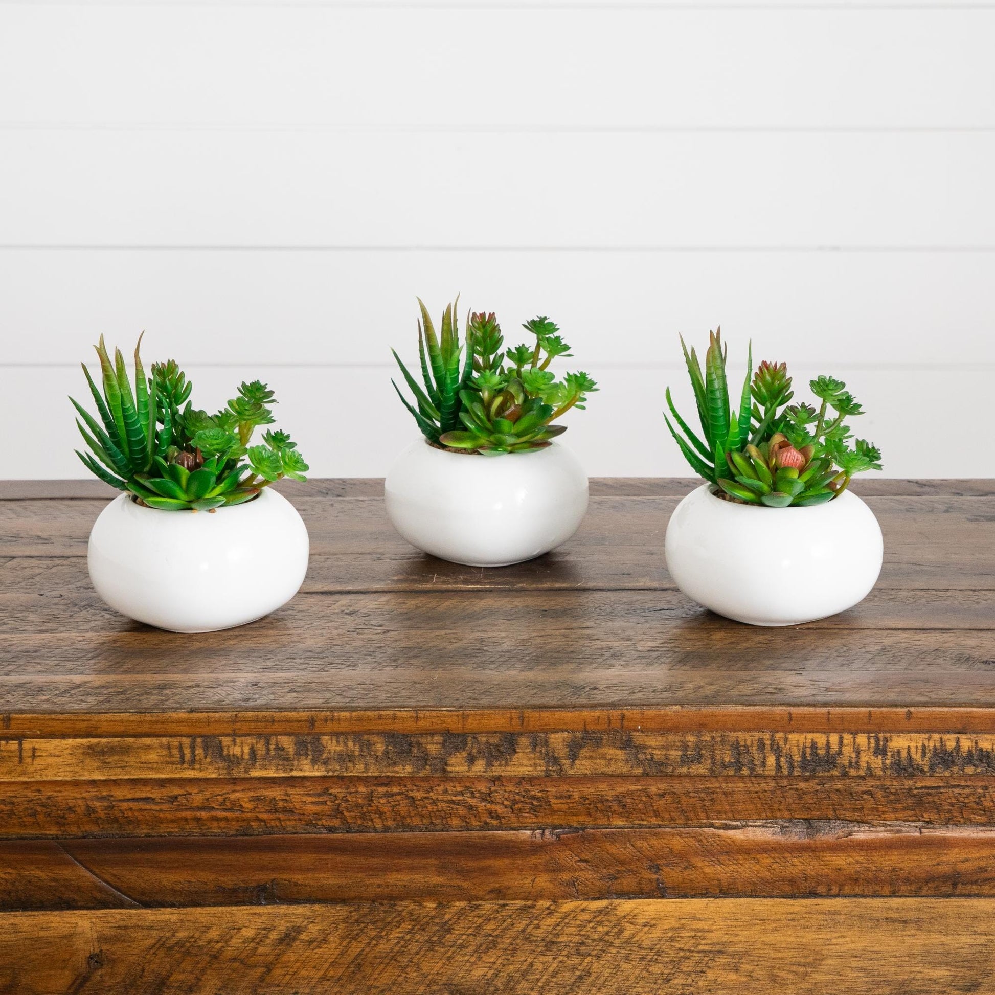 6-inch artificial succulent garden in white ceramic planters, set of 3, Nearly Natural on Tampa Home & Garden Store