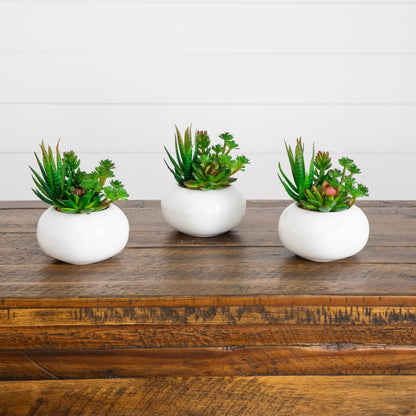 6-inch artificial succulent garden in white ceramic planters, set of 3, Nearly Natural on Tampa Home & Garden Store