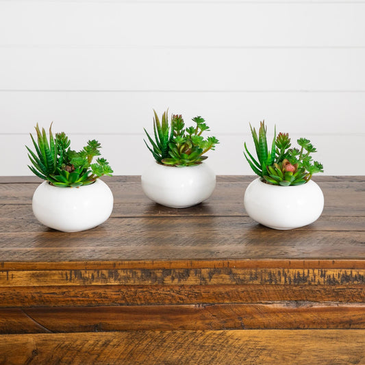 6-inch artificial succulent garden in white ceramic planters, set of 3, Nearly Natural on Tampa Home & Garden Store
