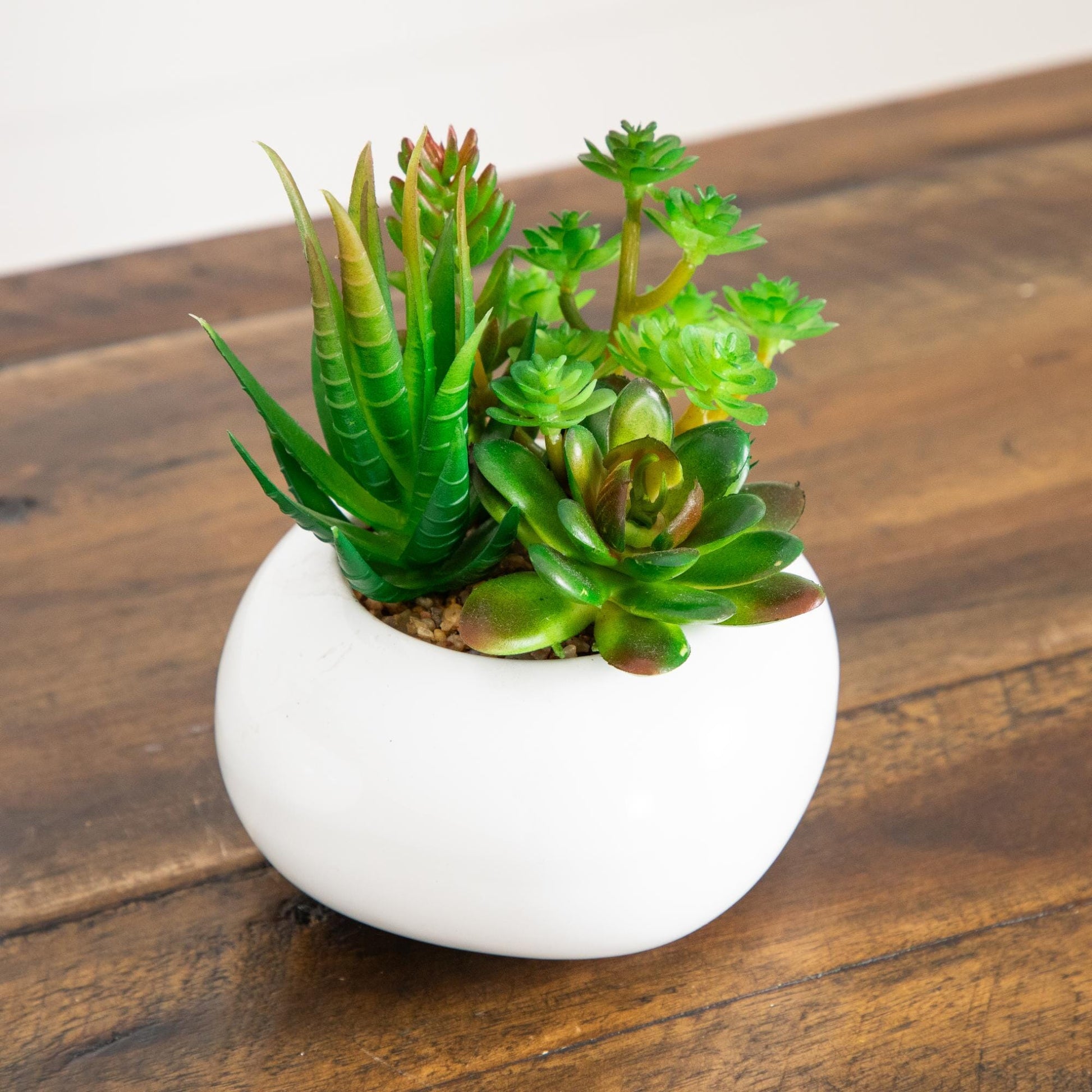 6-inch artificial succulent garden in white ceramic planter with mixed green succulents on Tampa Home & Garden Store