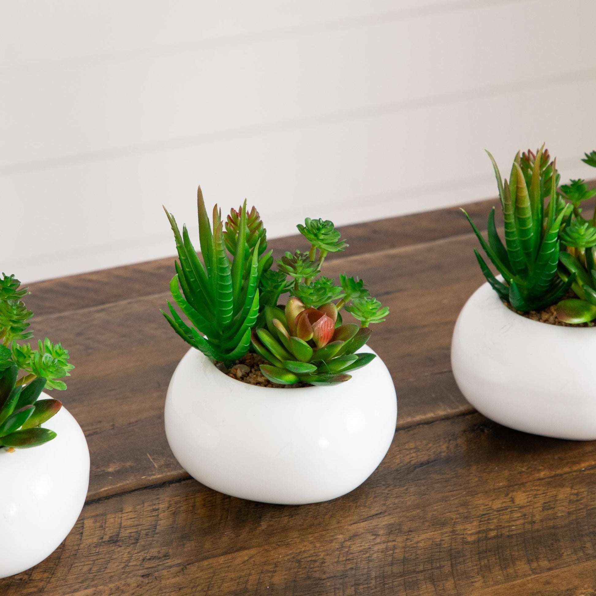 6-inch artificial succulent garden set of 3 in white ceramic planters Nearly Natural on Tampa Home & Garden Store