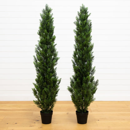 Artificial Mini Cedar Pine and an Indoor Decor