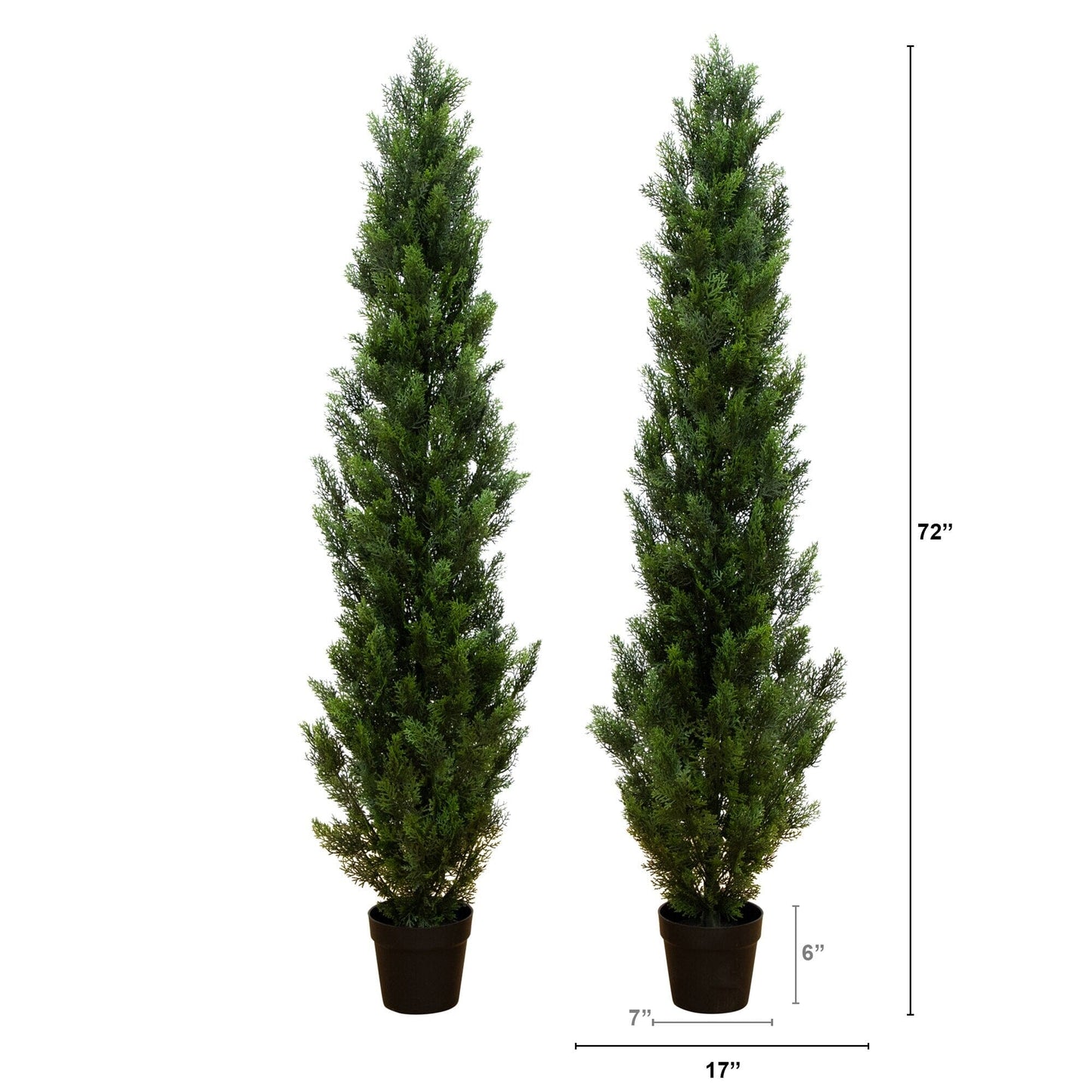 Artificial Mini Cedar Pine and an Indoor Decor