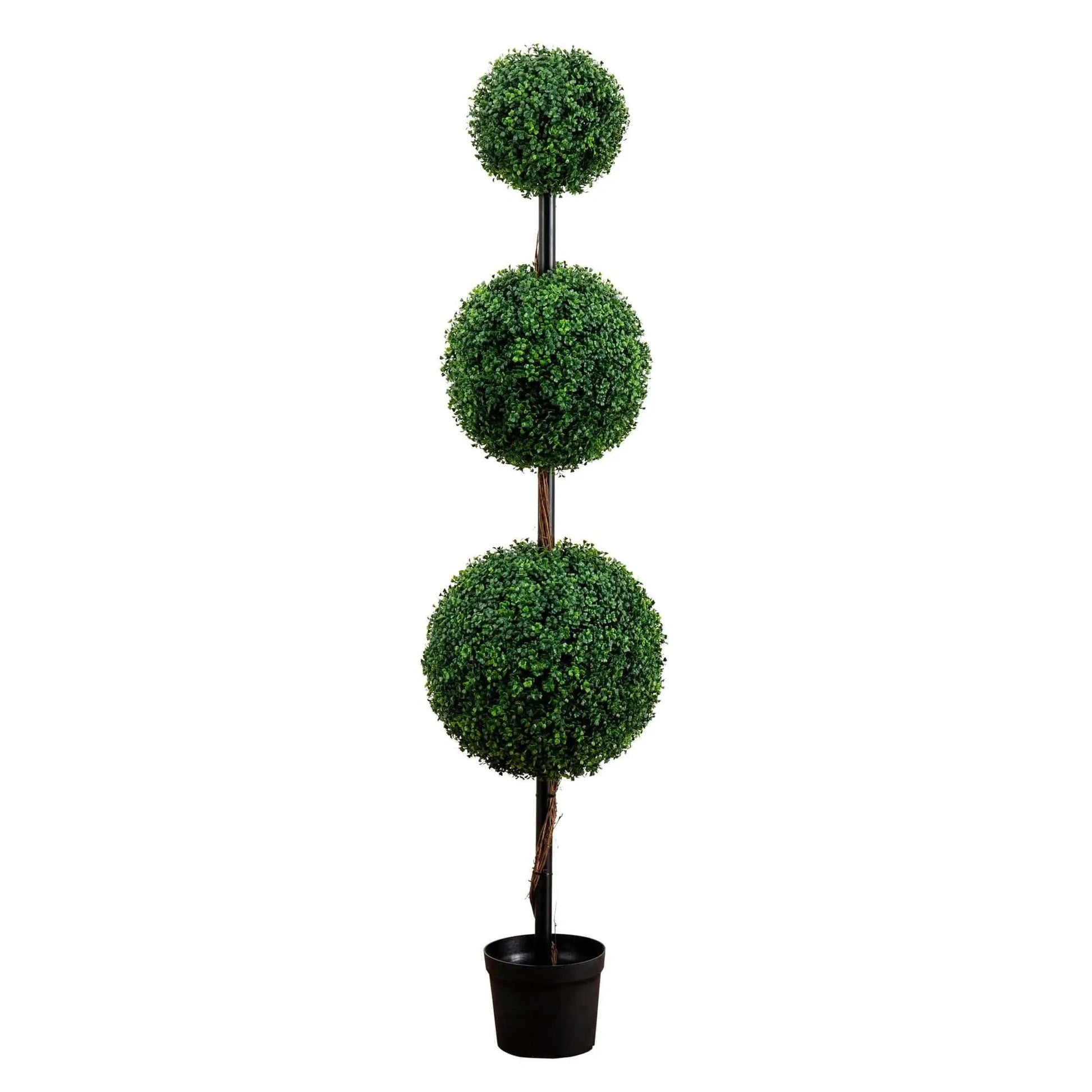 - image on Tampa Home & Garden Store