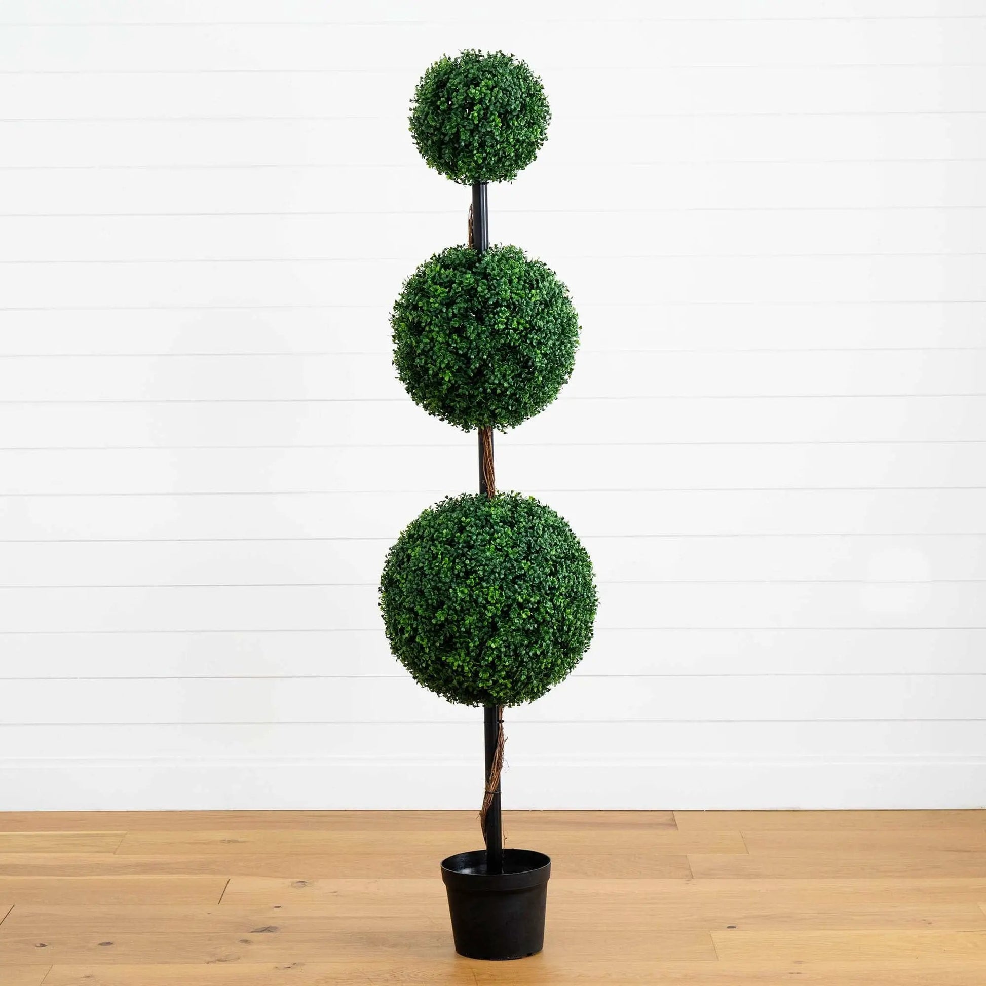 - image on Tampa Home & Garden Store