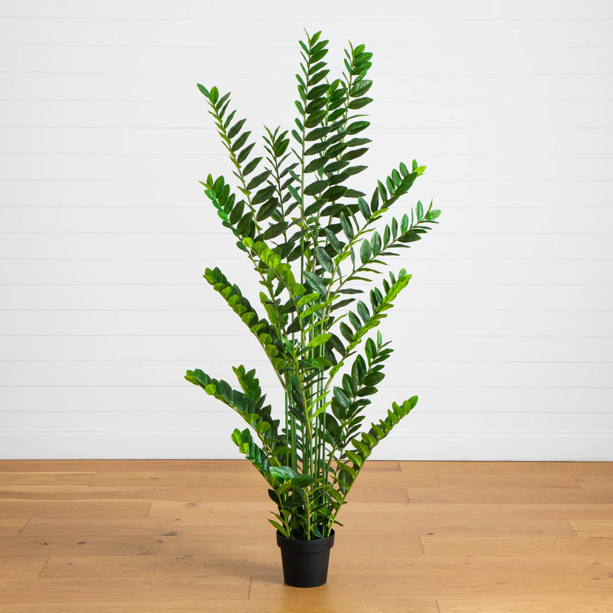 6' Artificial Zamioculcas plant by Nearly Natural in a black pot with glossy dark green leaves on Tampa Home & Garden Store