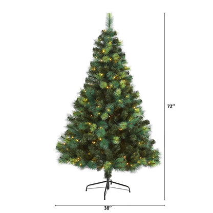 6 ft Scotch Pine Christmas Tree by Nearly Natural with 250 LED lights on a metal stand on Tampa Home & Garden Store