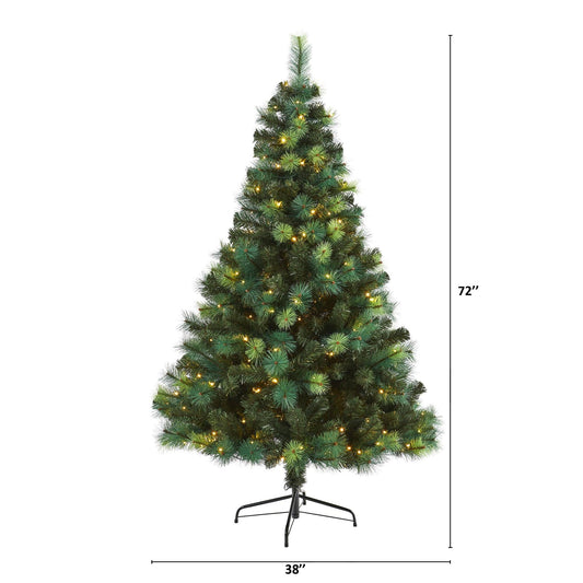 6 ft Scotch Pine Christmas Tree by Nearly Natural with 250 LED lights on a metal stand on Tampa Home & Garden Store