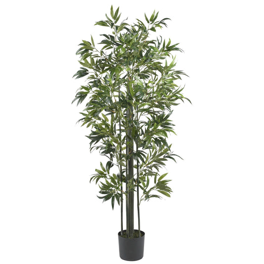 6' Bamboo Silk Tree (Green Trunks) - Tampa Home & Garden Store