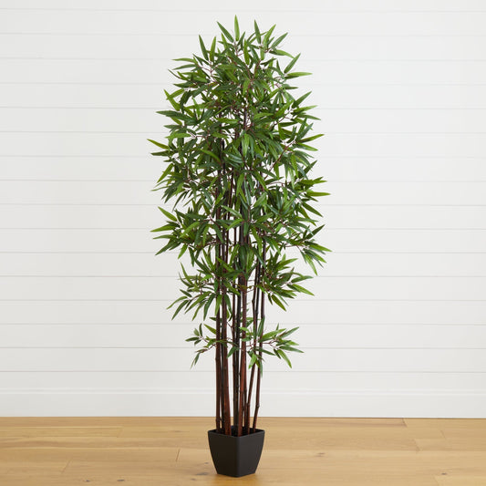 6’ Bamboo Silk Tree w/Planter - Tampa Home & Garden Store