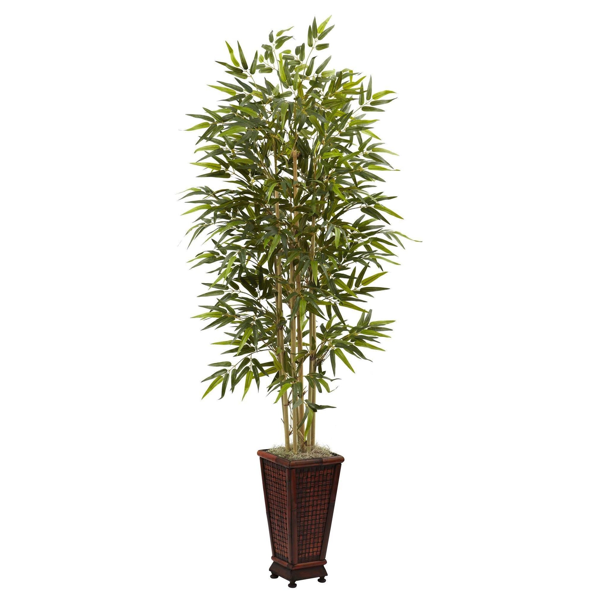 6 ft Bamboo Tree with decorative brown wicker planter by Nearly Natural on Tampa Home & Garden Store