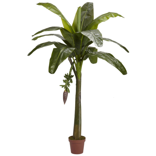 6' Banana Silk Tree (Real Touch) - Tampa Home & Garden Store