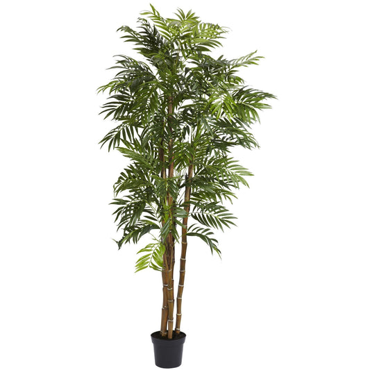 6' Bella Palm Silk Tree - Tampa Home & Garden Store