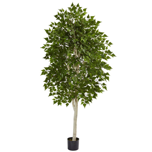 6 ft Birch artificial tree Nearly Natural with lush green leaves in a black planter on Tampa Home & Garden Store