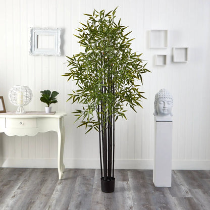 - image on Tampa Home & Garden Store