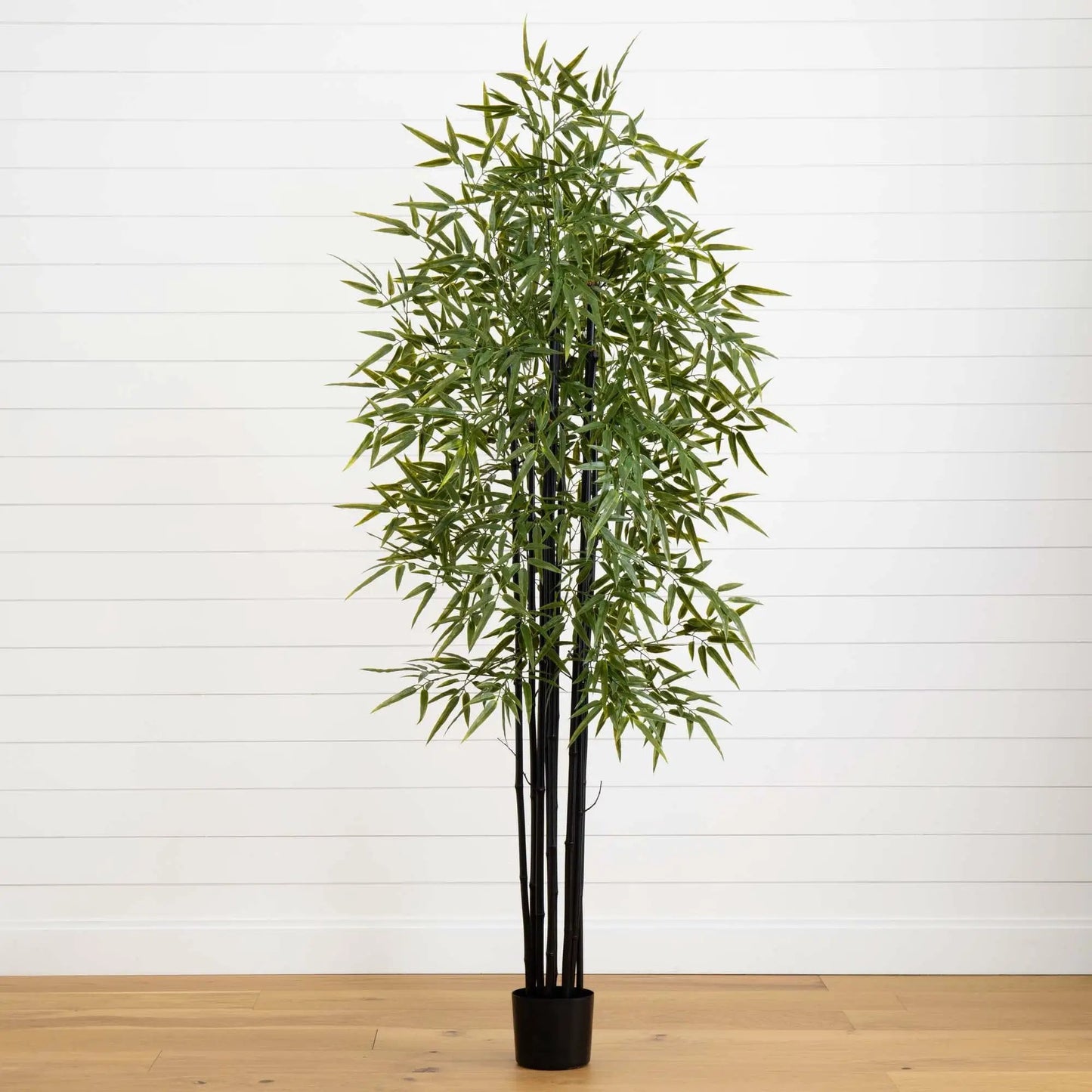 - image on Tampa Home & Garden Store