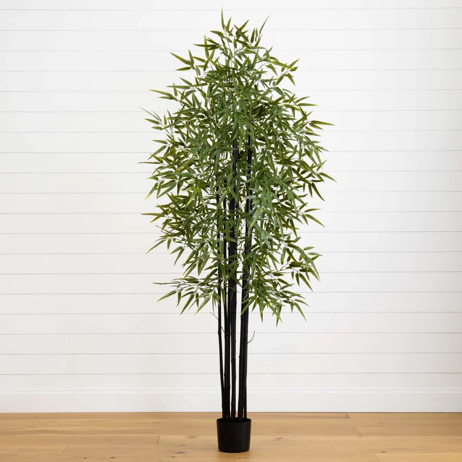 - image on Tampa Home & Garden Store