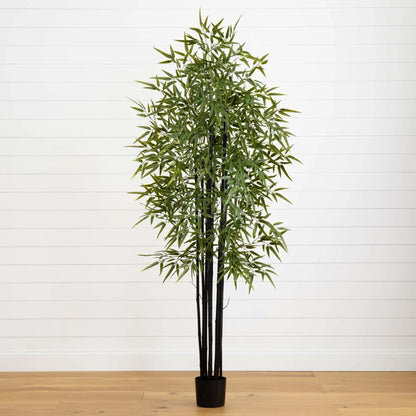 - image on Tampa Home & Garden Store