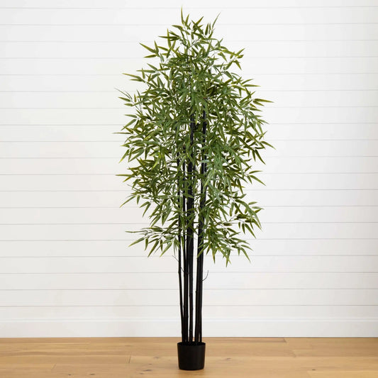 - image on Tampa Home & Garden Store