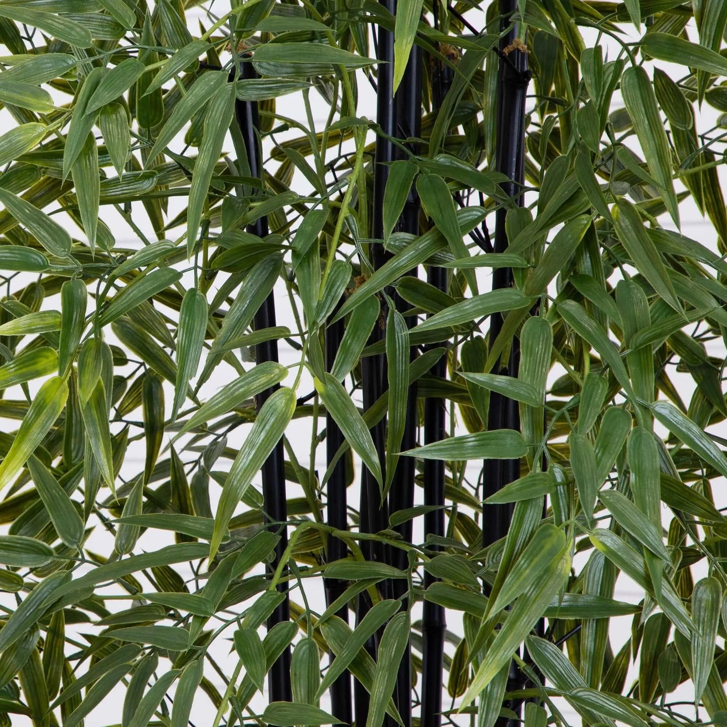 - image on Tampa Home & Garden Store