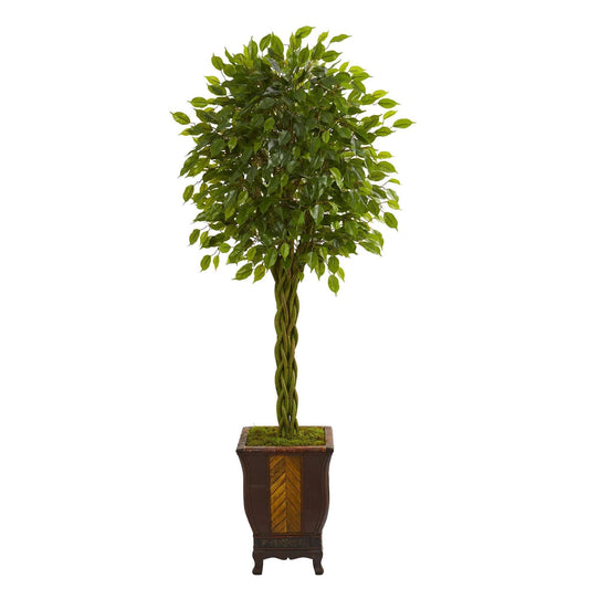 6' braided ficus artificial tree in decorative wooden planter with moss, Nearly Natural on Tampa Home & Garden Store